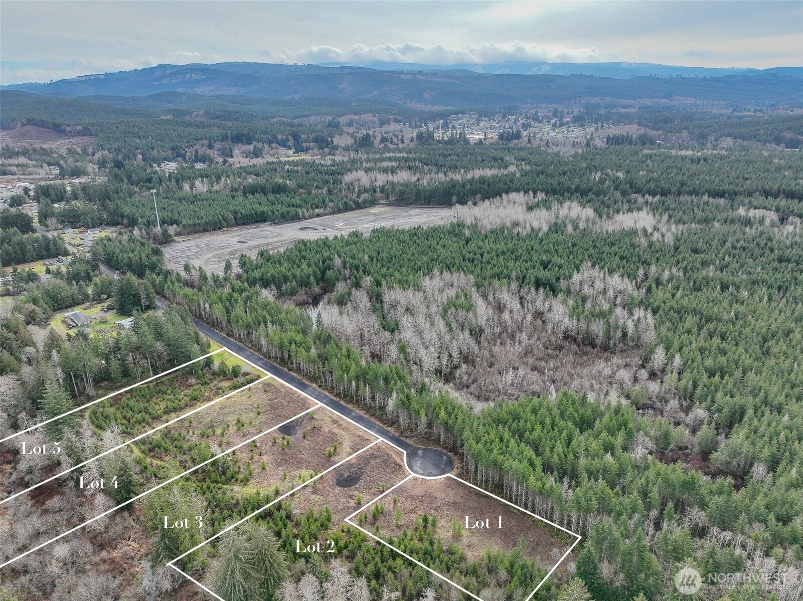 0 Lot 4 Larson Road, McCleary, WA 98557