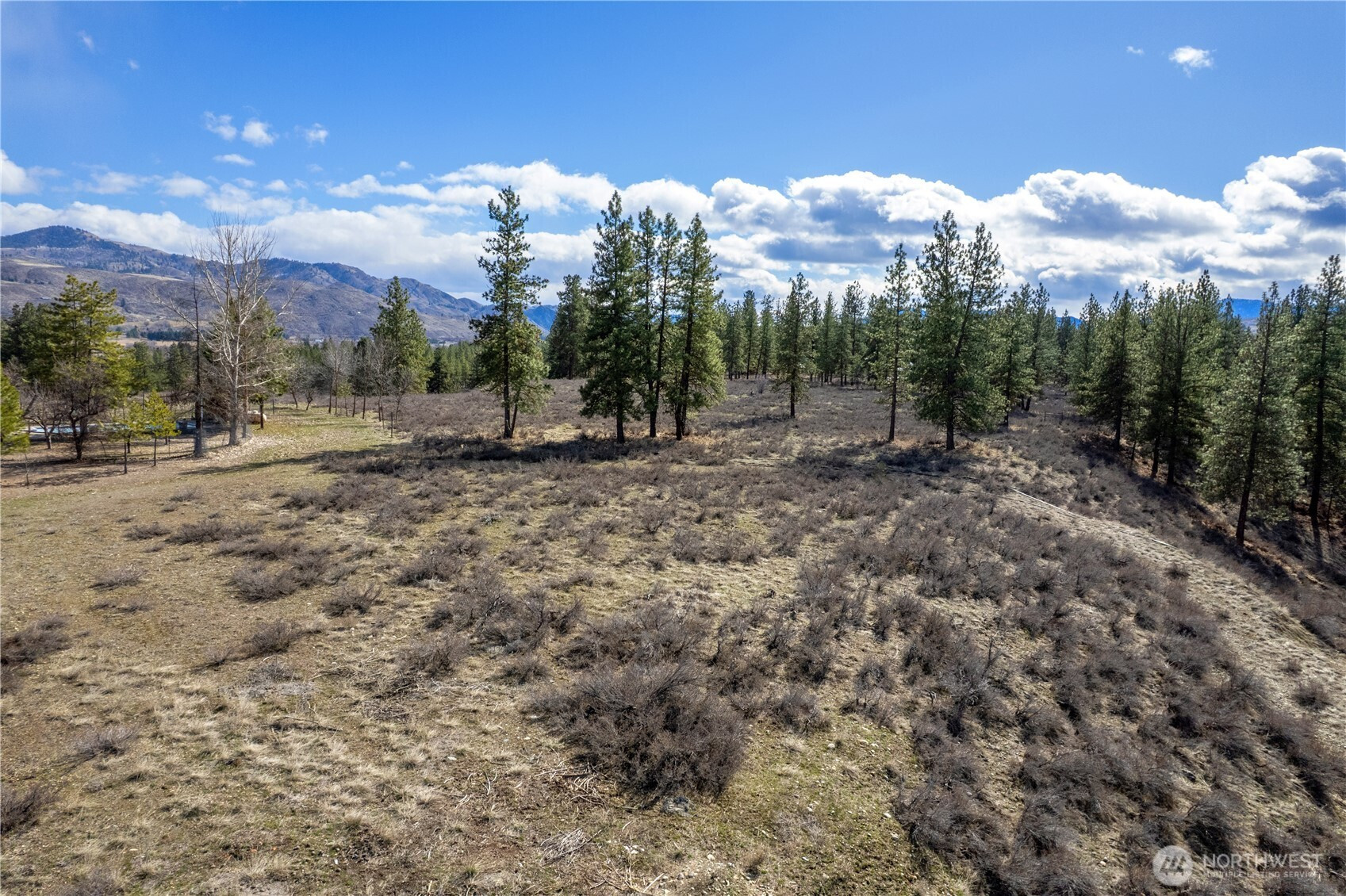 40 TBD Rabbit House Road, Winthrop, WA 98862