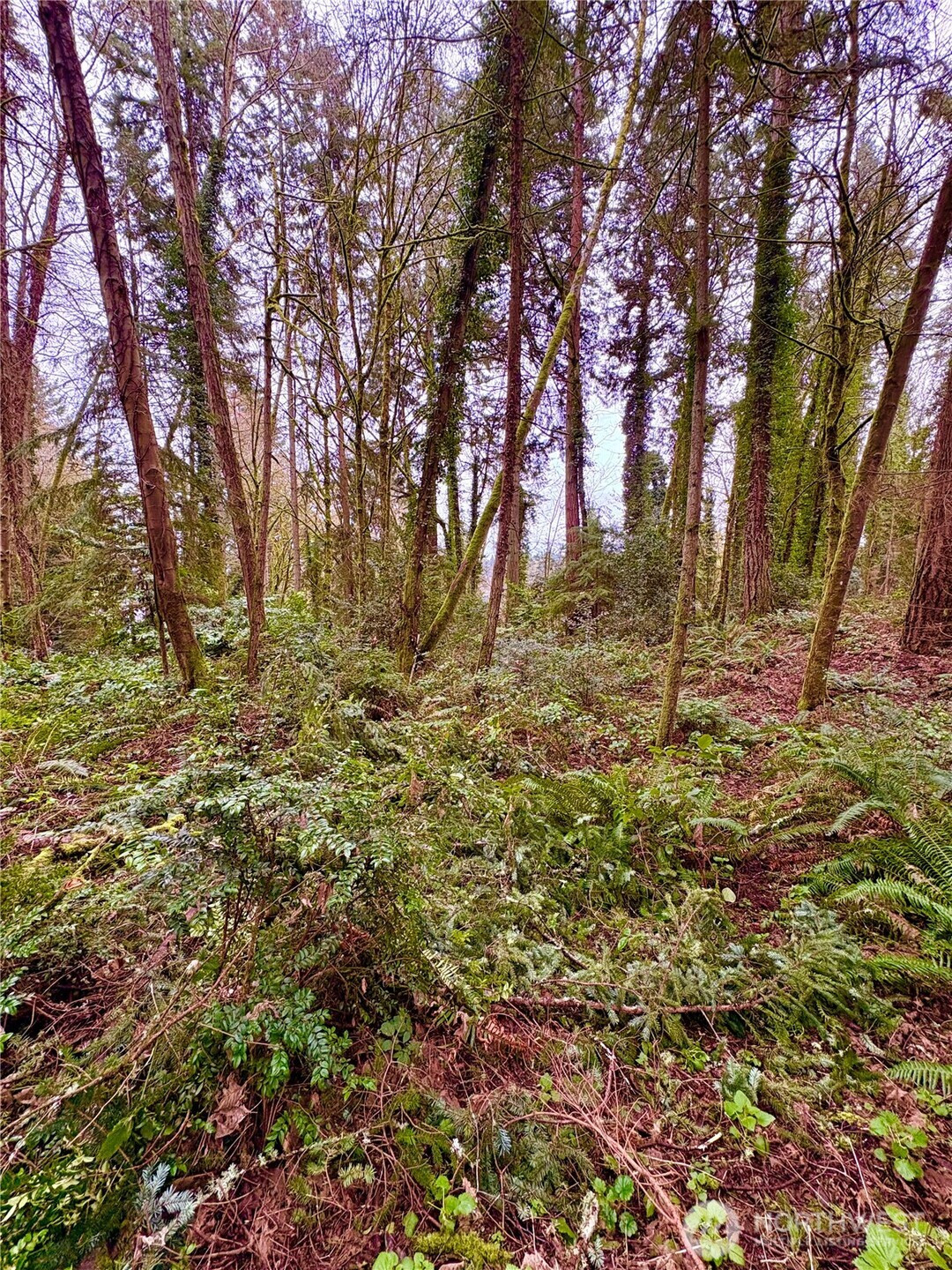 0 SW 230th Street, Vashon, WA 98070