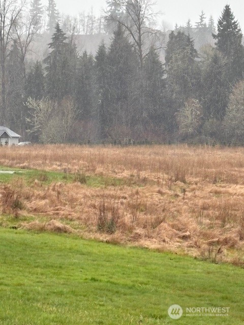 102 Maulwee Drive, Silver Creek, WA 98585