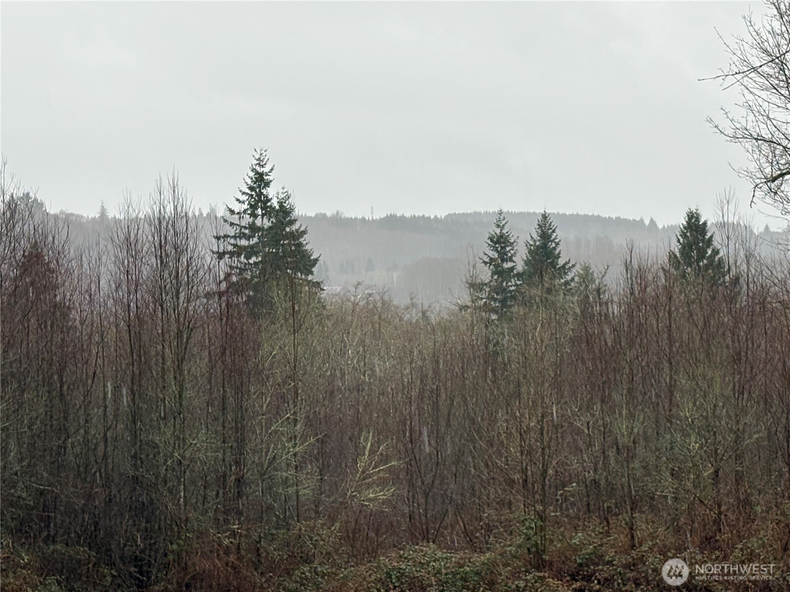 280 Ridge View Road, Onalaska, WA 98570