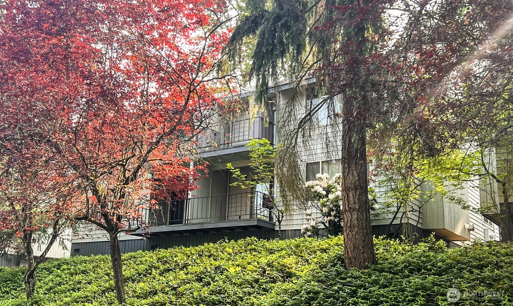 3838 Lake Washington Boulevard SE, Bellevue, WA 98006