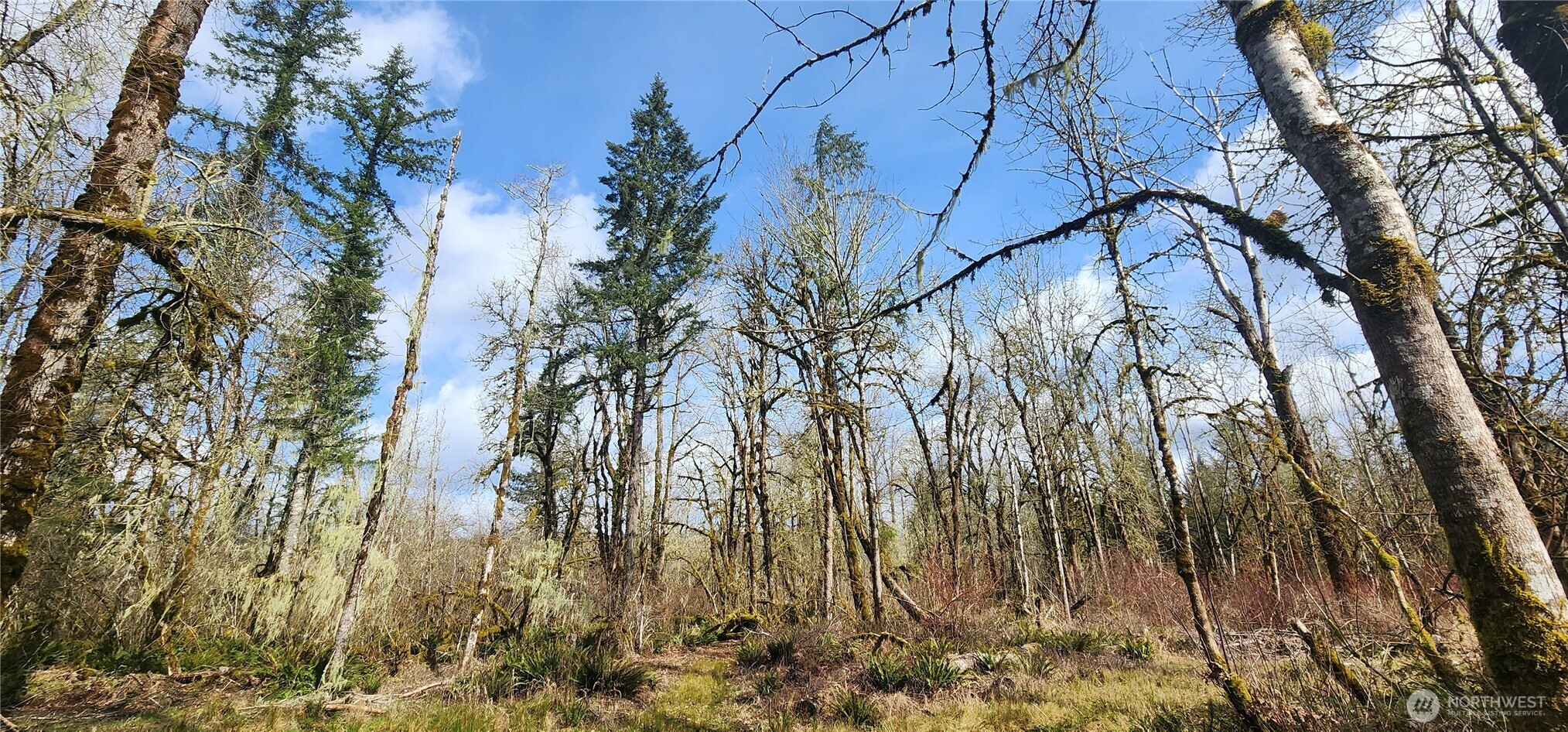 0 Justus Rd, Cinebar, WA 98533