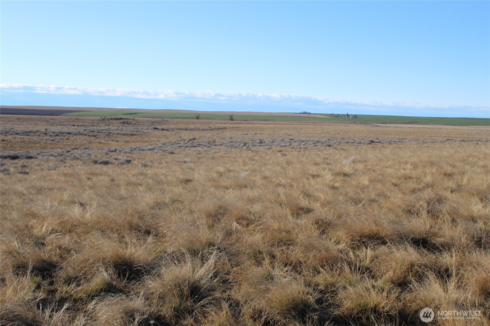 0 Schafer and Dewalt Road, Ritzville, WA 99169