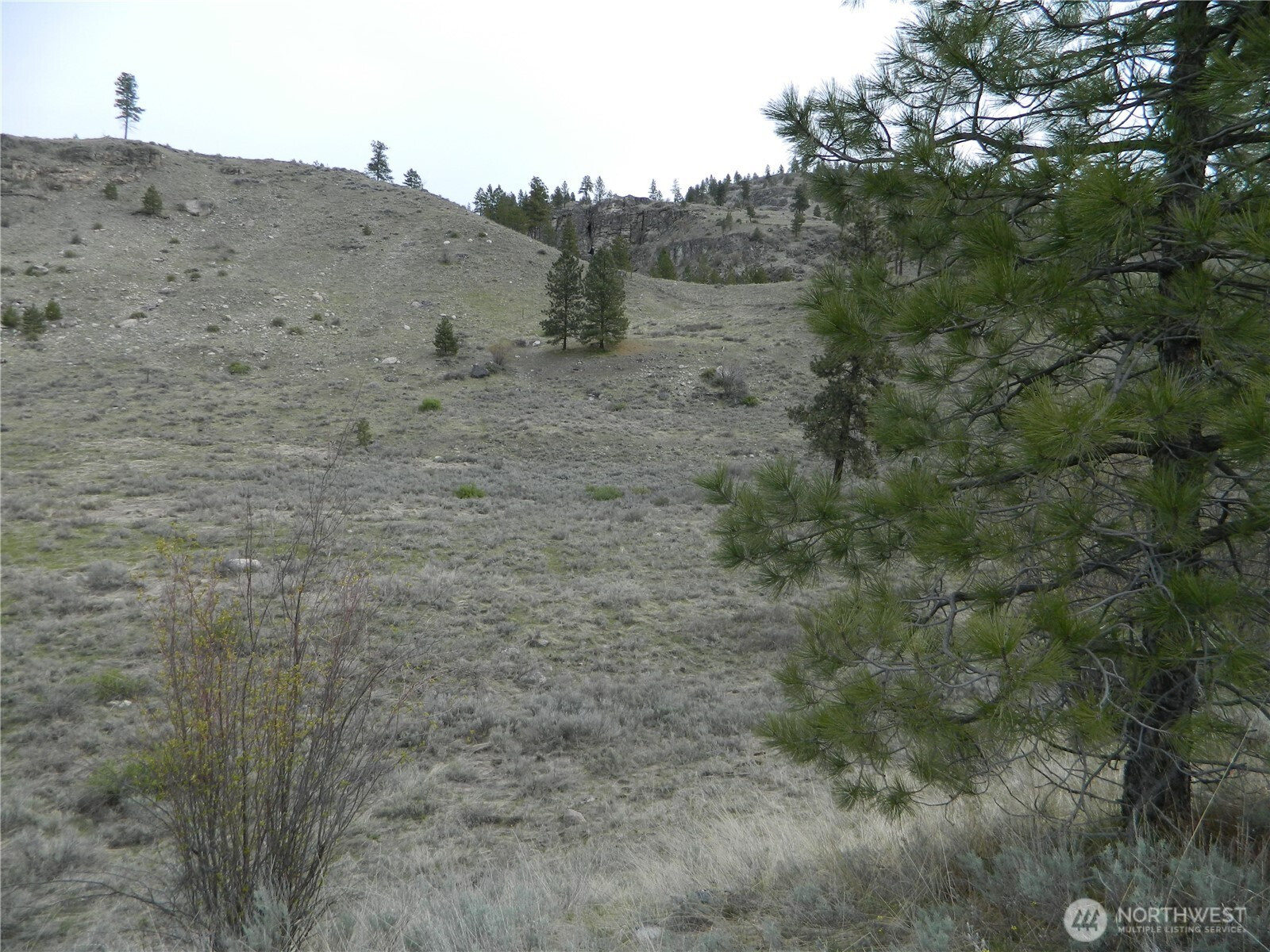 11 TBD Six Gun Way, Tonasket, WA 98855