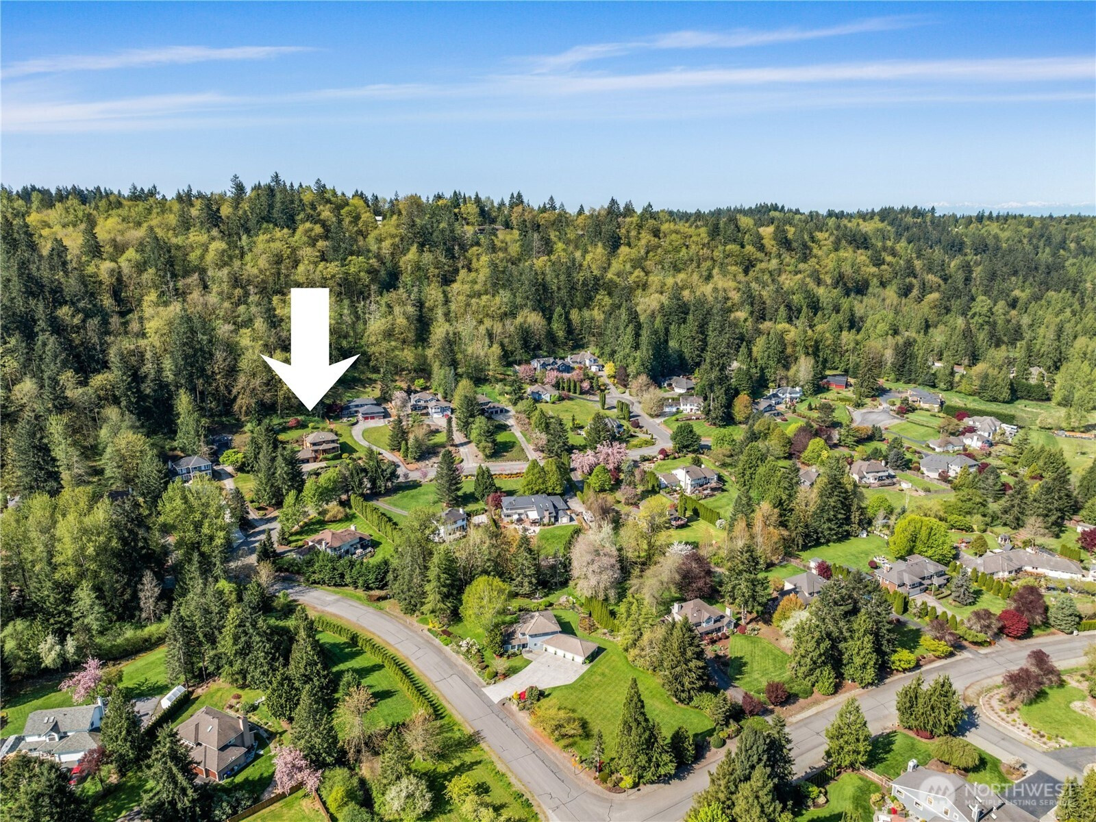 20613 SE 136th Street, Issaquah, WA 98027
