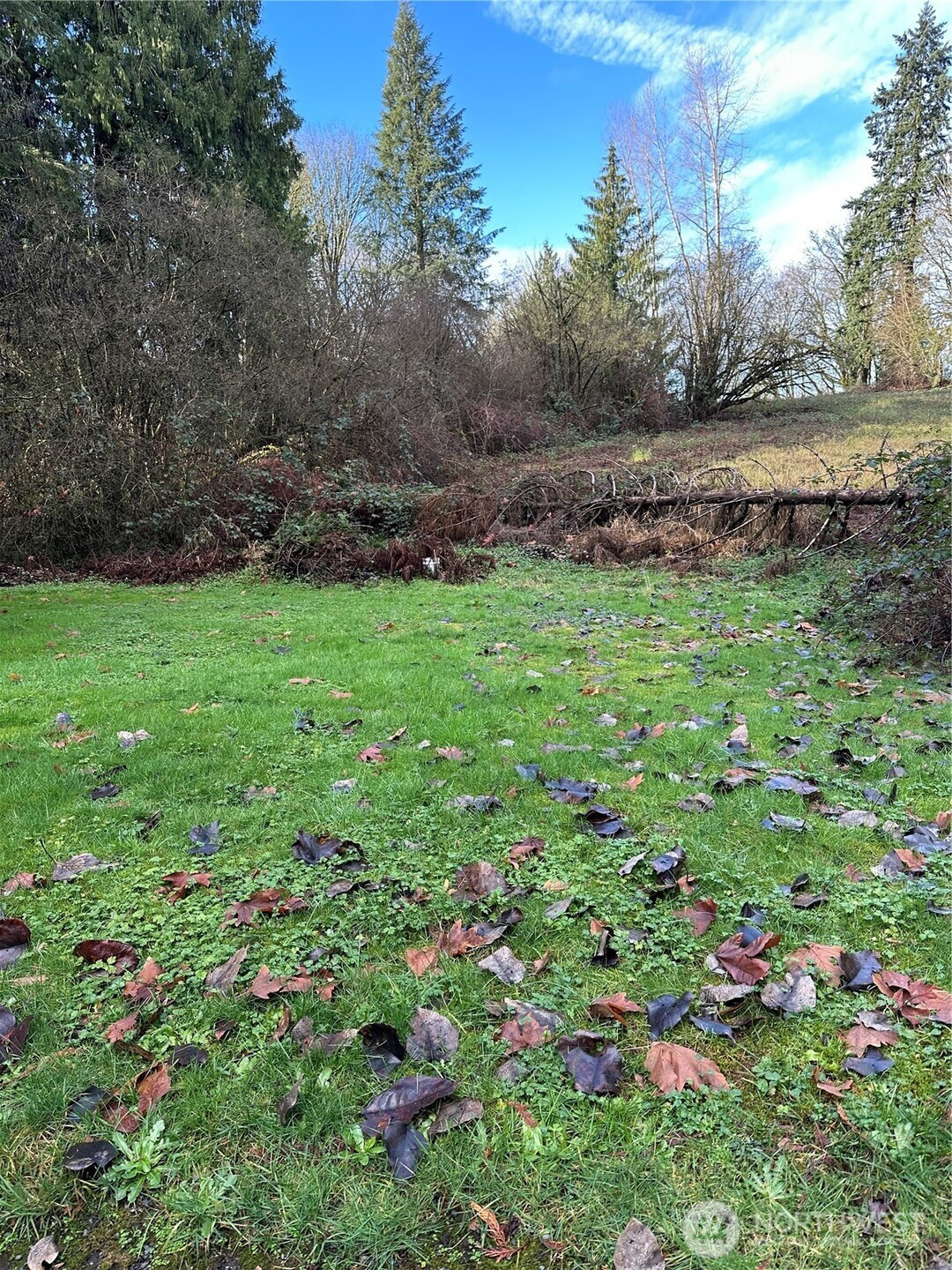 0 121st Avenue SE, Snohomish, WA 98290