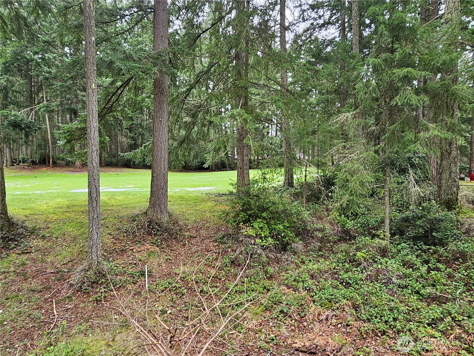 11005 Pioneer Drive, Anderson Island, WA 98303