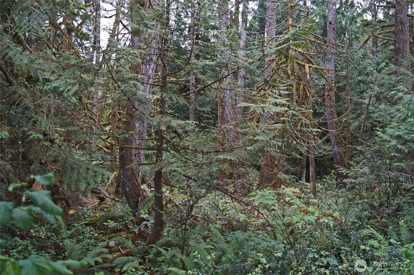 15501 N US Highway 101, Shelton, WA 98584