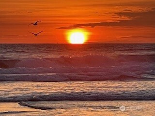 818 W Ocean Avenue, Westport, WA 98595