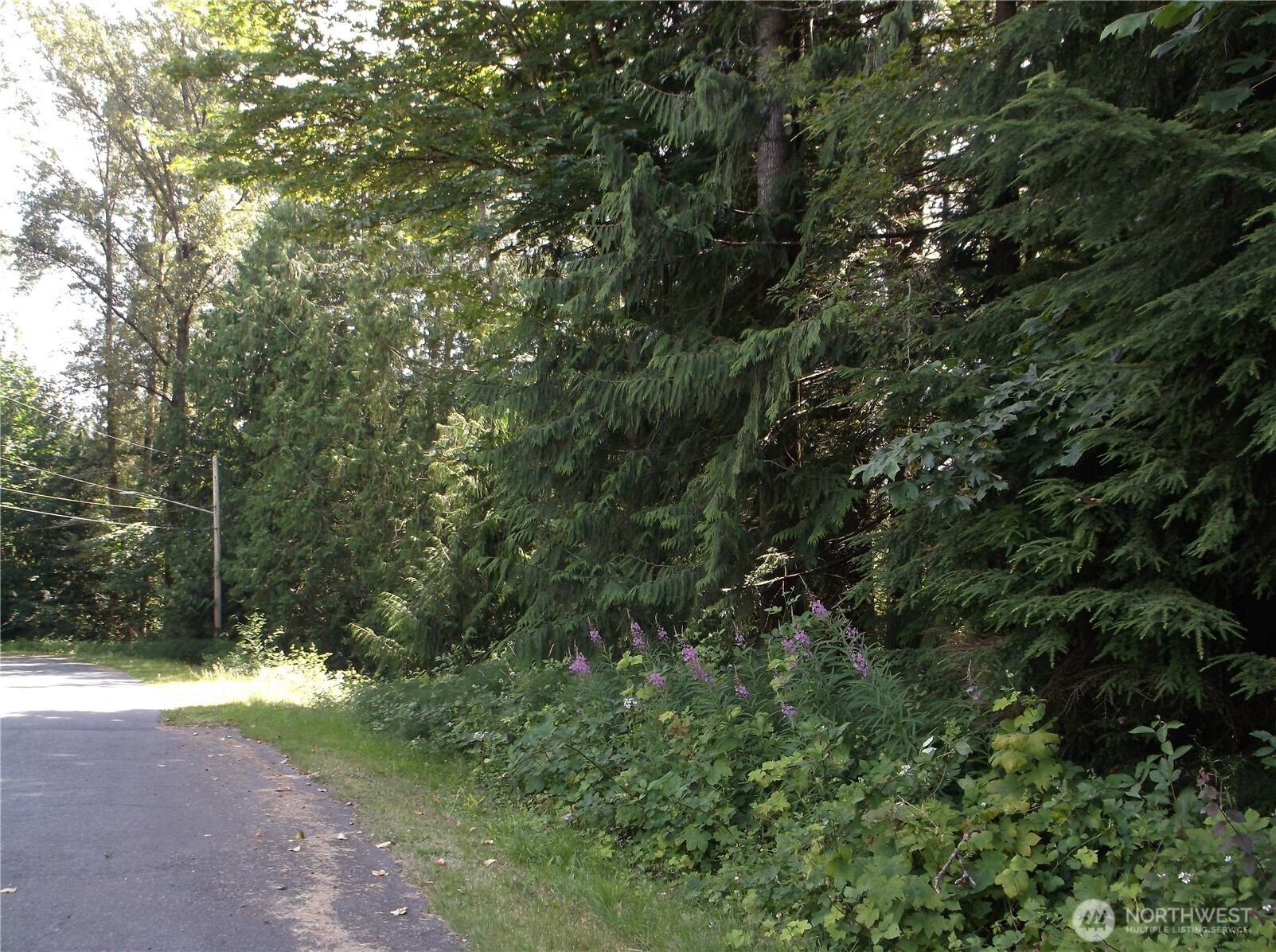 18012 123rd Place NE, Arlington, WA 98223