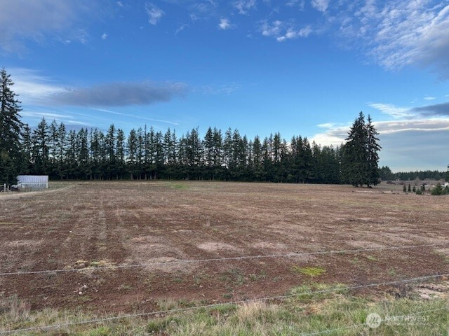 0 Lot 2 Brown Road, Adna, WA 98532
