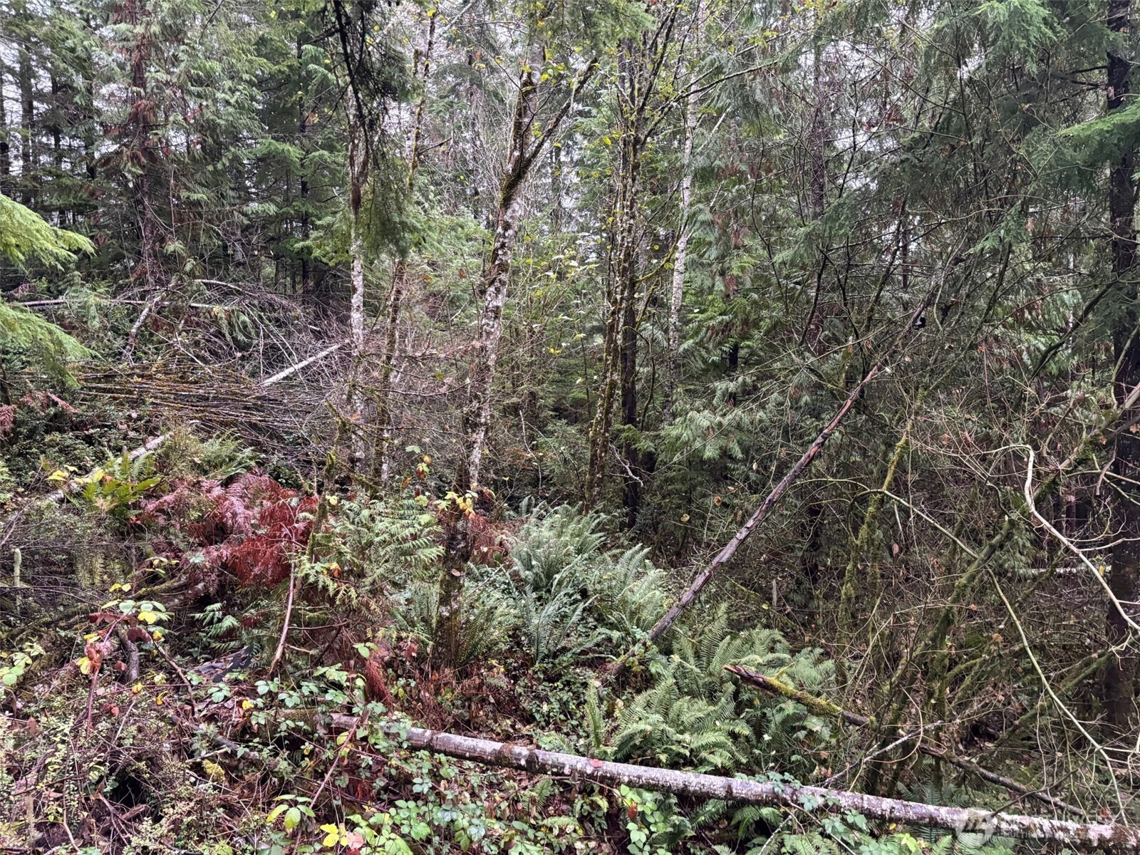 896 N Lake Cushman Drive, Hoodsport, WA 98548