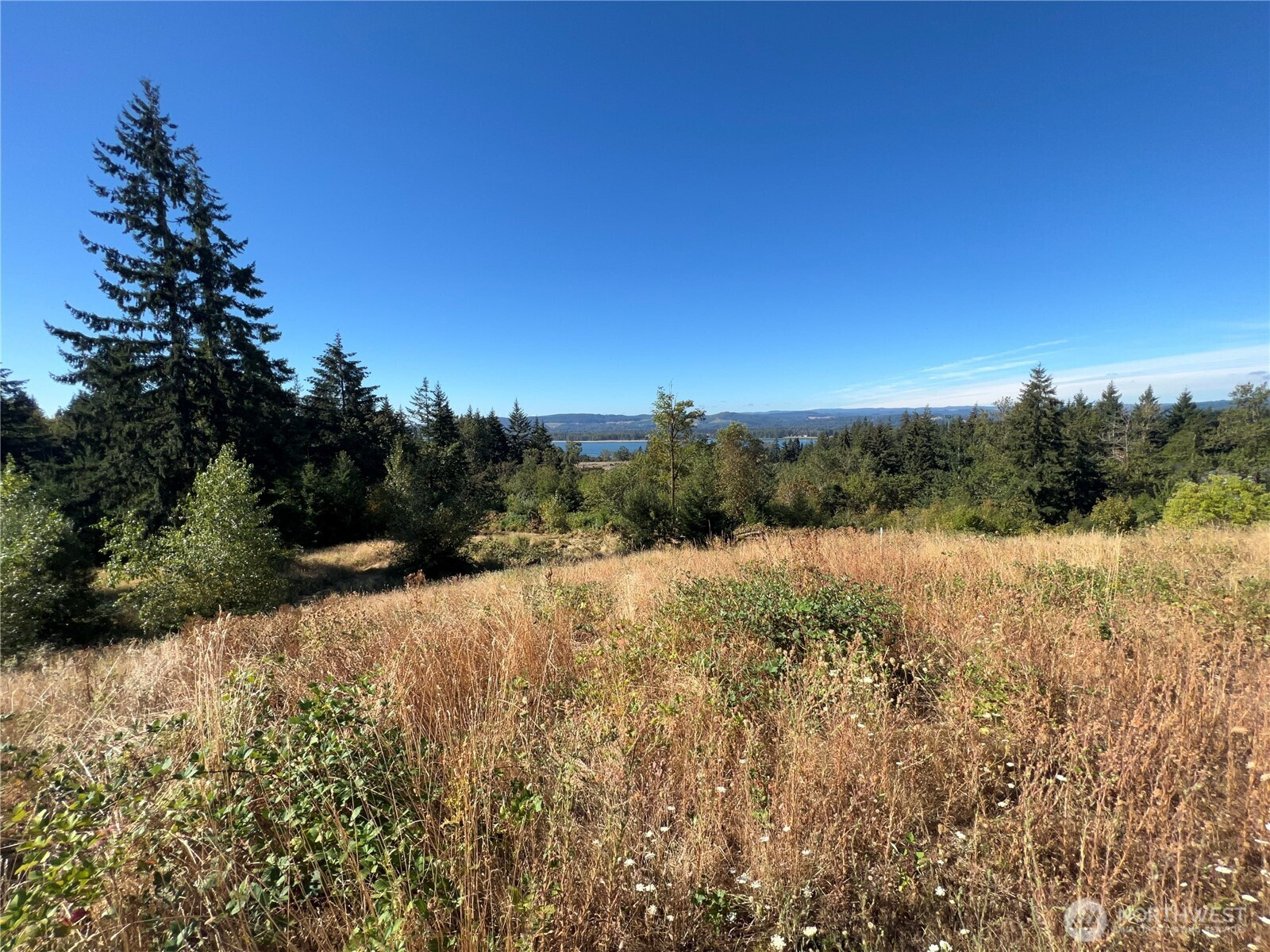 300 Daves View Drive, Kalama, WA 98625