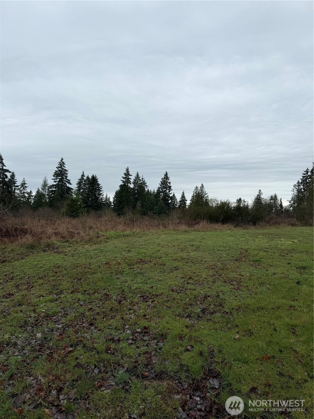 10767 Palisades St Se, Yelm, WA 98597