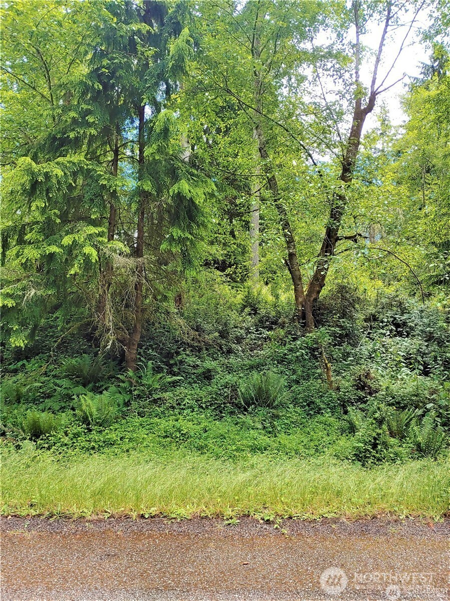 11909 11911 Country Club Drive, Anderson Island, WA 98303