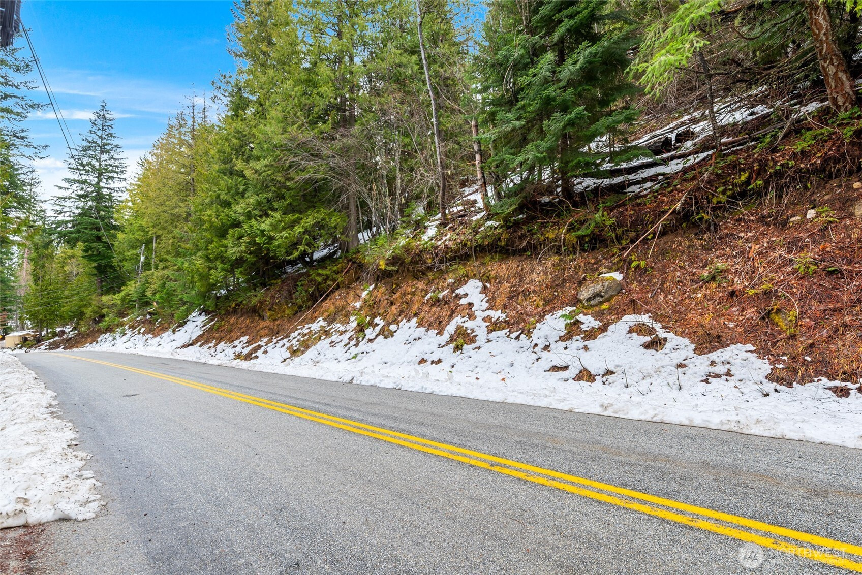 0 Cedar Brae Lot 87, Lake Wenatchee, WA 98826