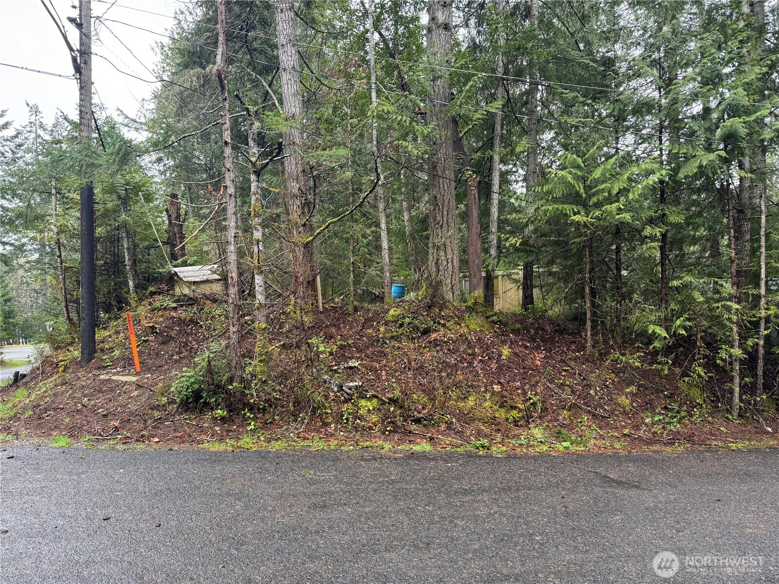 11 Bayview Court, Brinnon, WA 98320