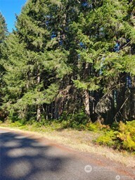 8914 130th Avenue Ct, Anderson Island, WA 98303