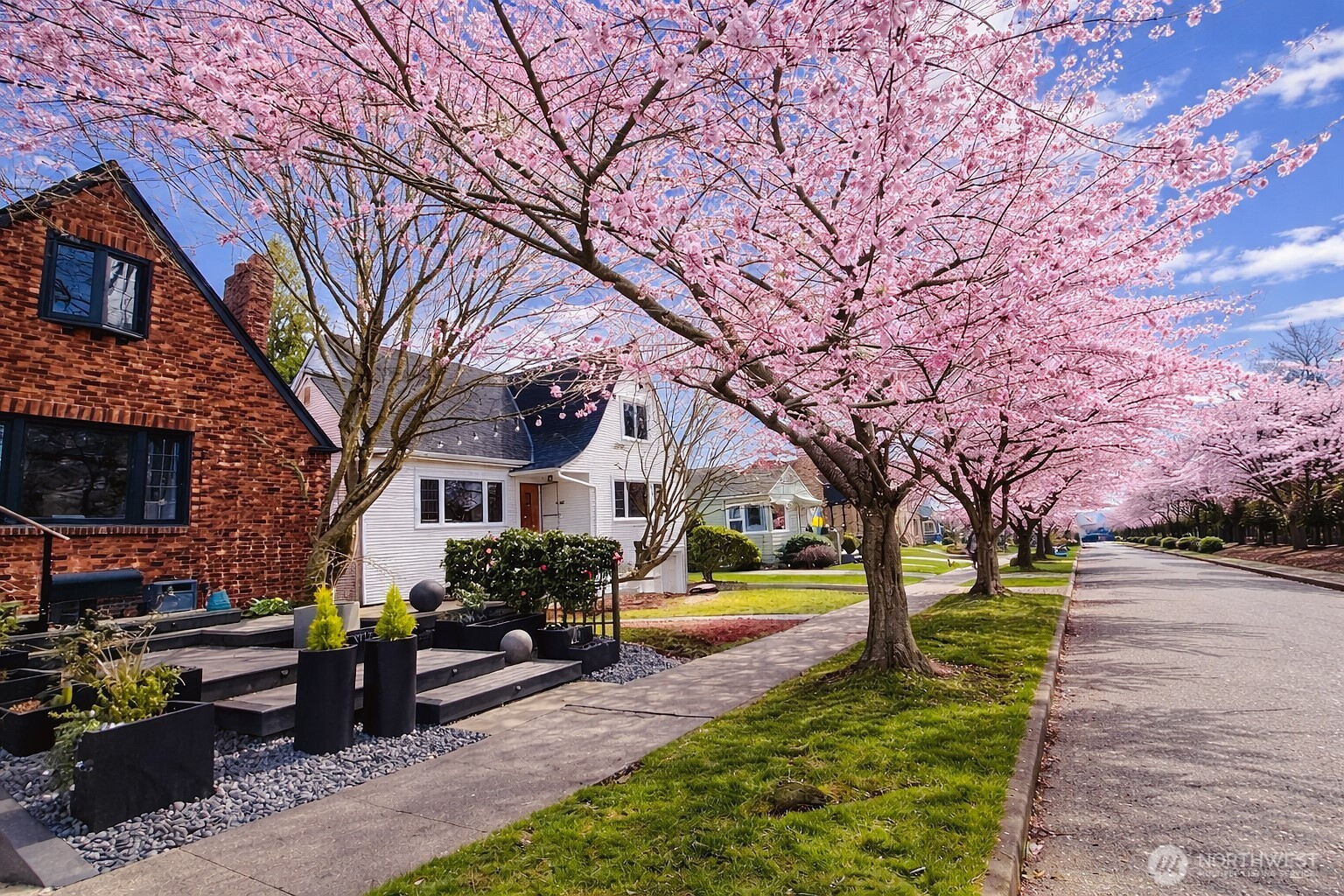 7736 33rd Ave NW, Seattle, WA 98117