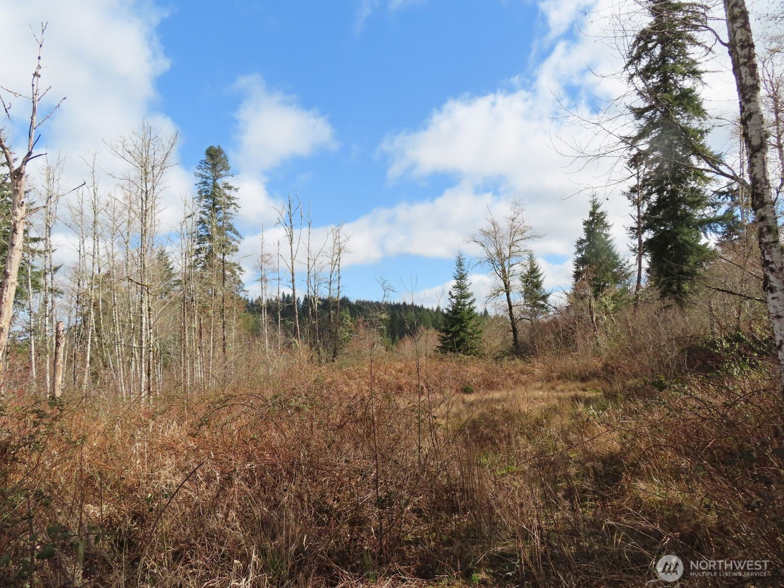 125 Oppelt Road, Chehalis, WA 98532