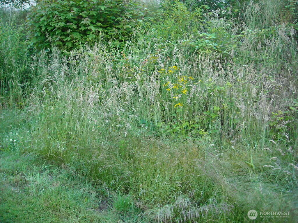 613 E 56th Street, Tacoma, WA 98404