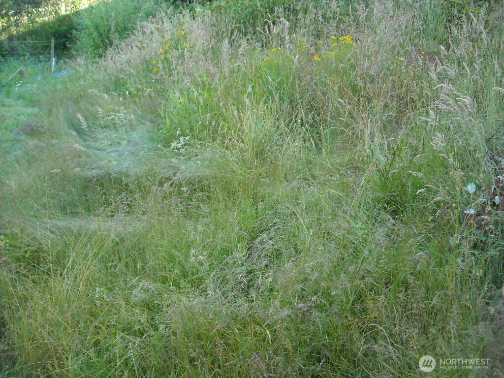 514 E 55th Street, Tacoma, WA 98404