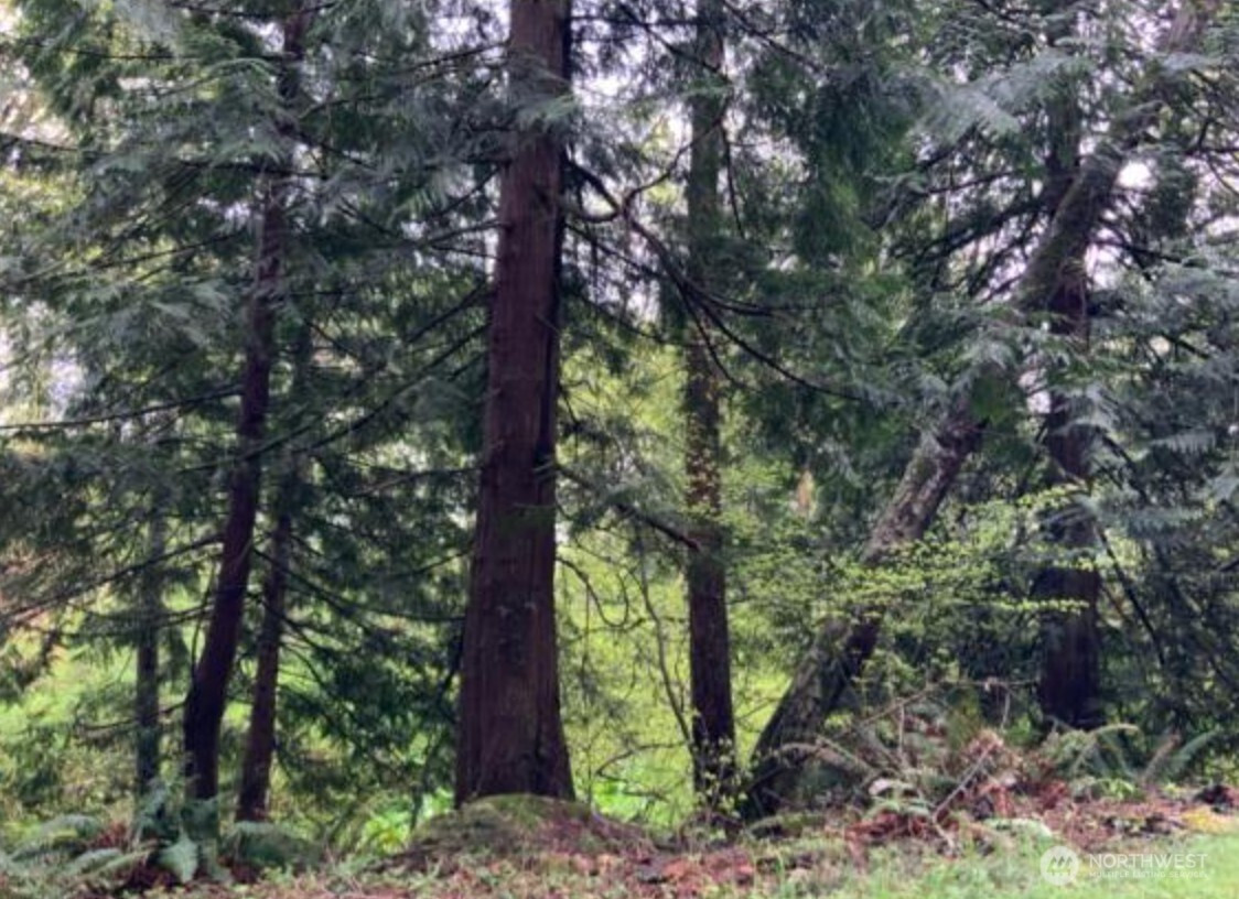 0 D Street, Bellingham, WA 98225