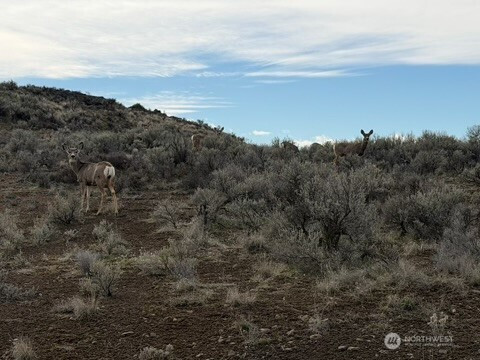 0 Stirrup Pl, Ephrata, WA 98823