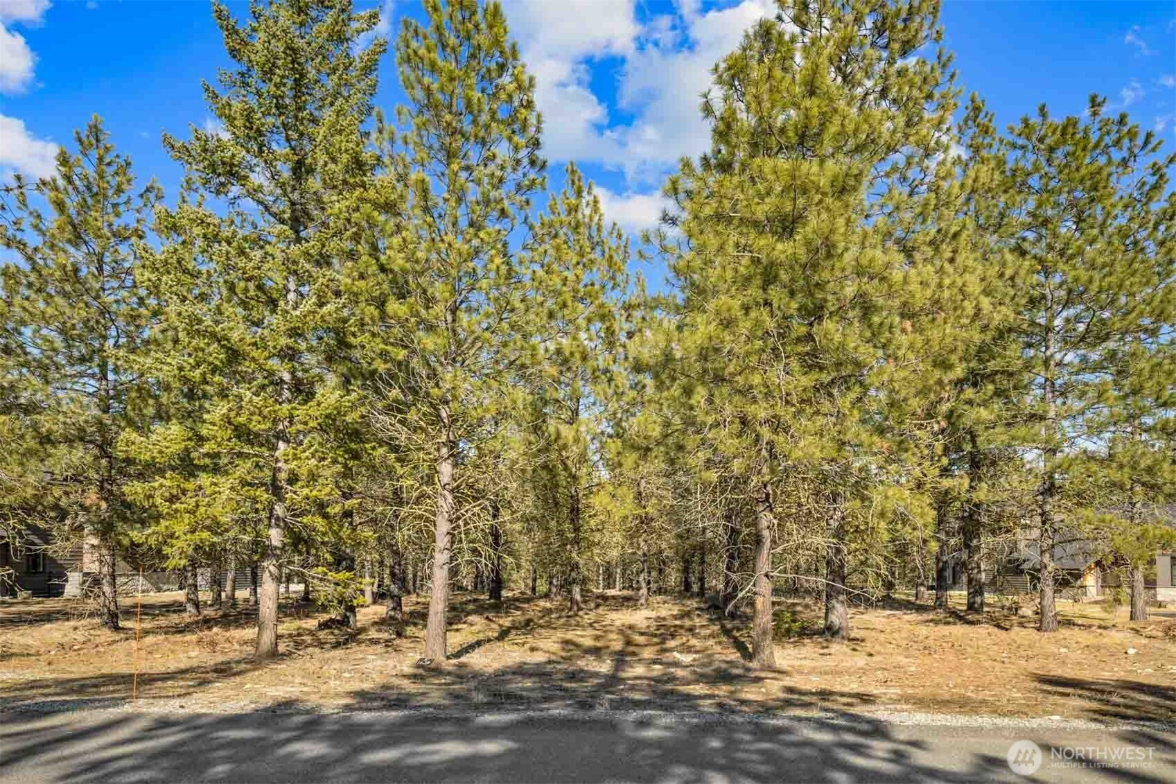 381 Gold Leaf Lane, Cle Elum, WA 98922