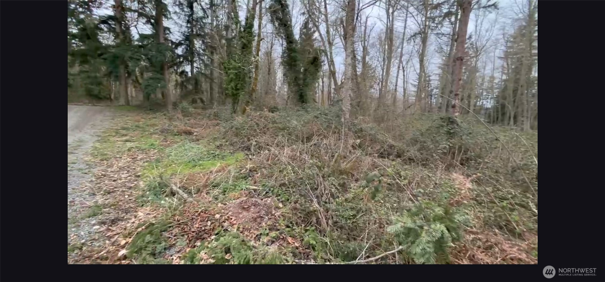 37116 E 103rd Avenue Ct, Eatonville, WA 98328