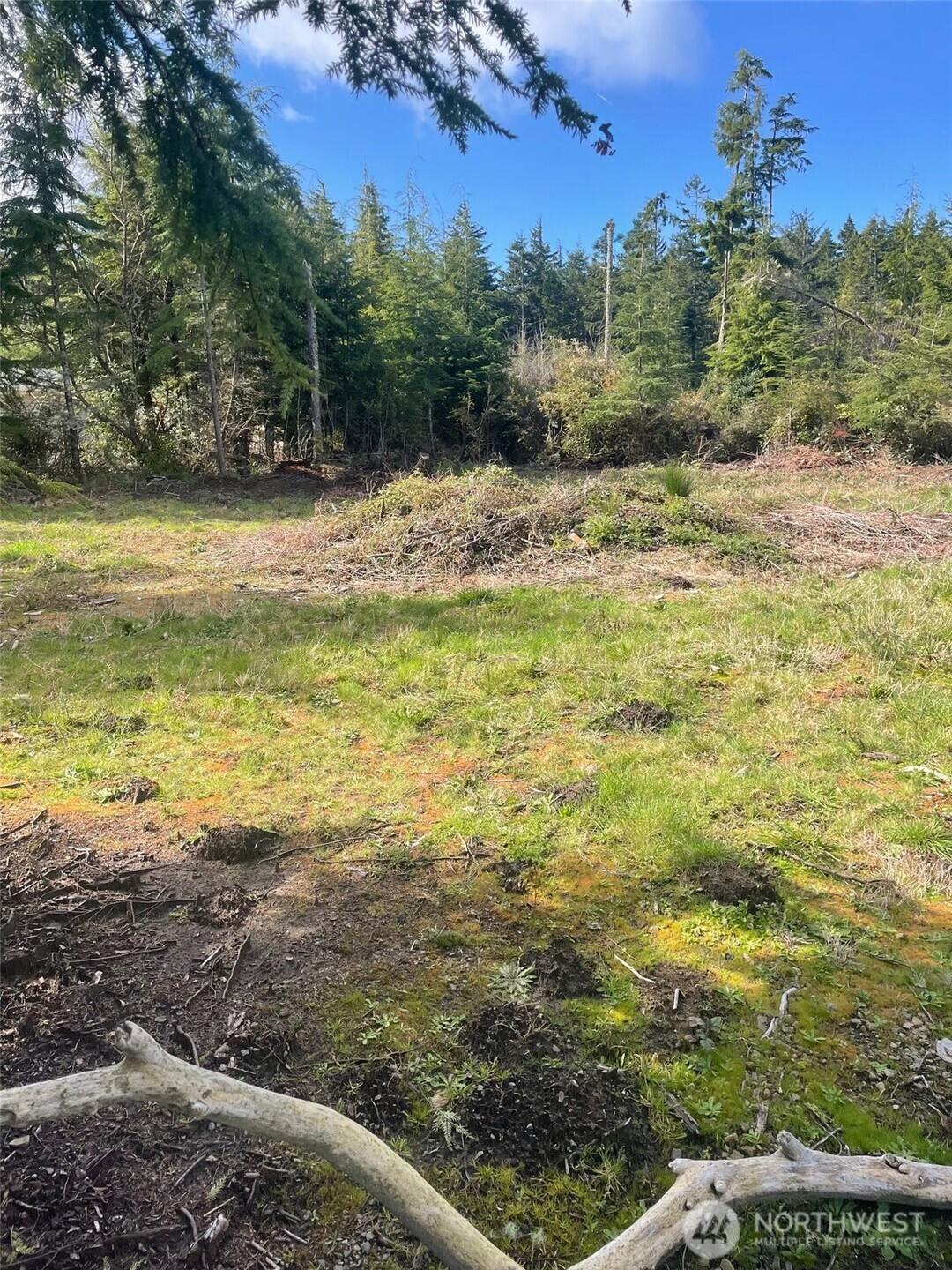 20100 Crane Place, Ocean Park, WA 98640