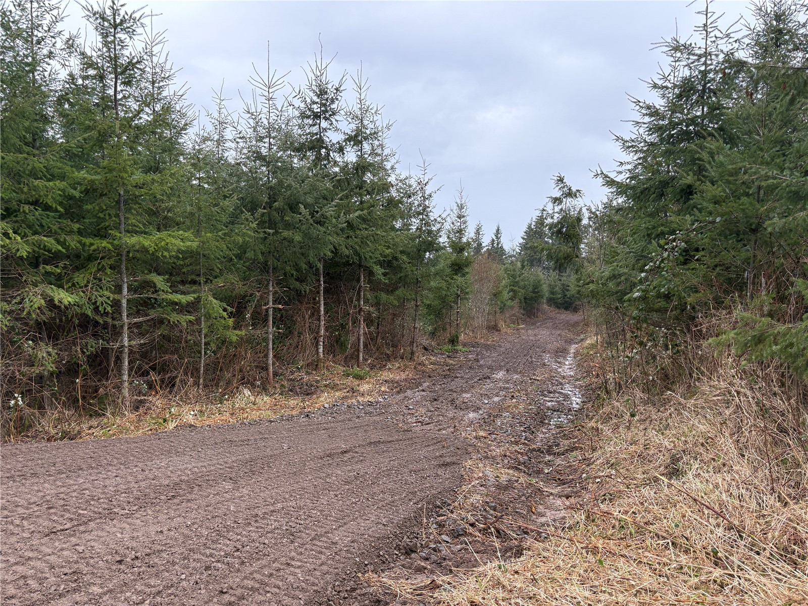 1 NKA China Garden Road, Kalama, WA 98625