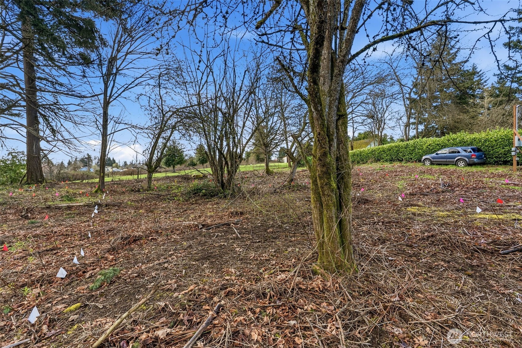 1406 E 44th Street, Tacoma, WA 98404