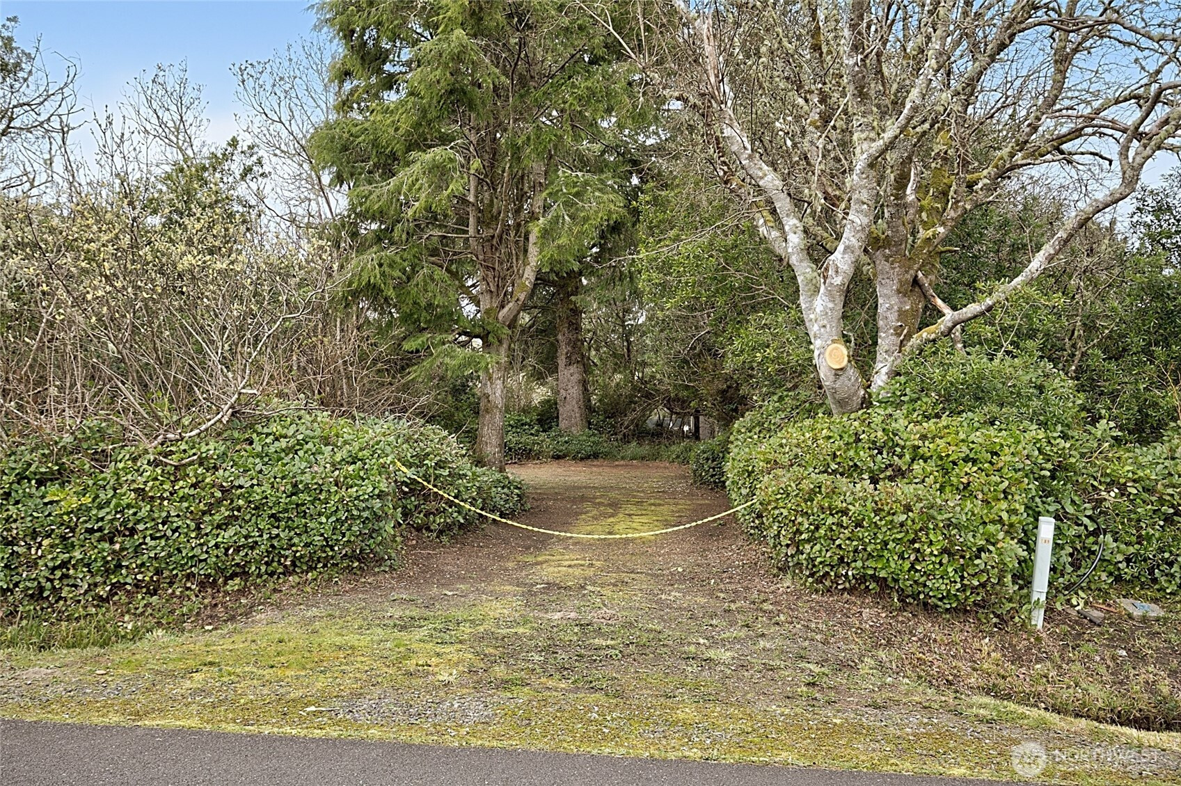 189 S Narwhal Loop SW, Ocean Shores, WA 98569