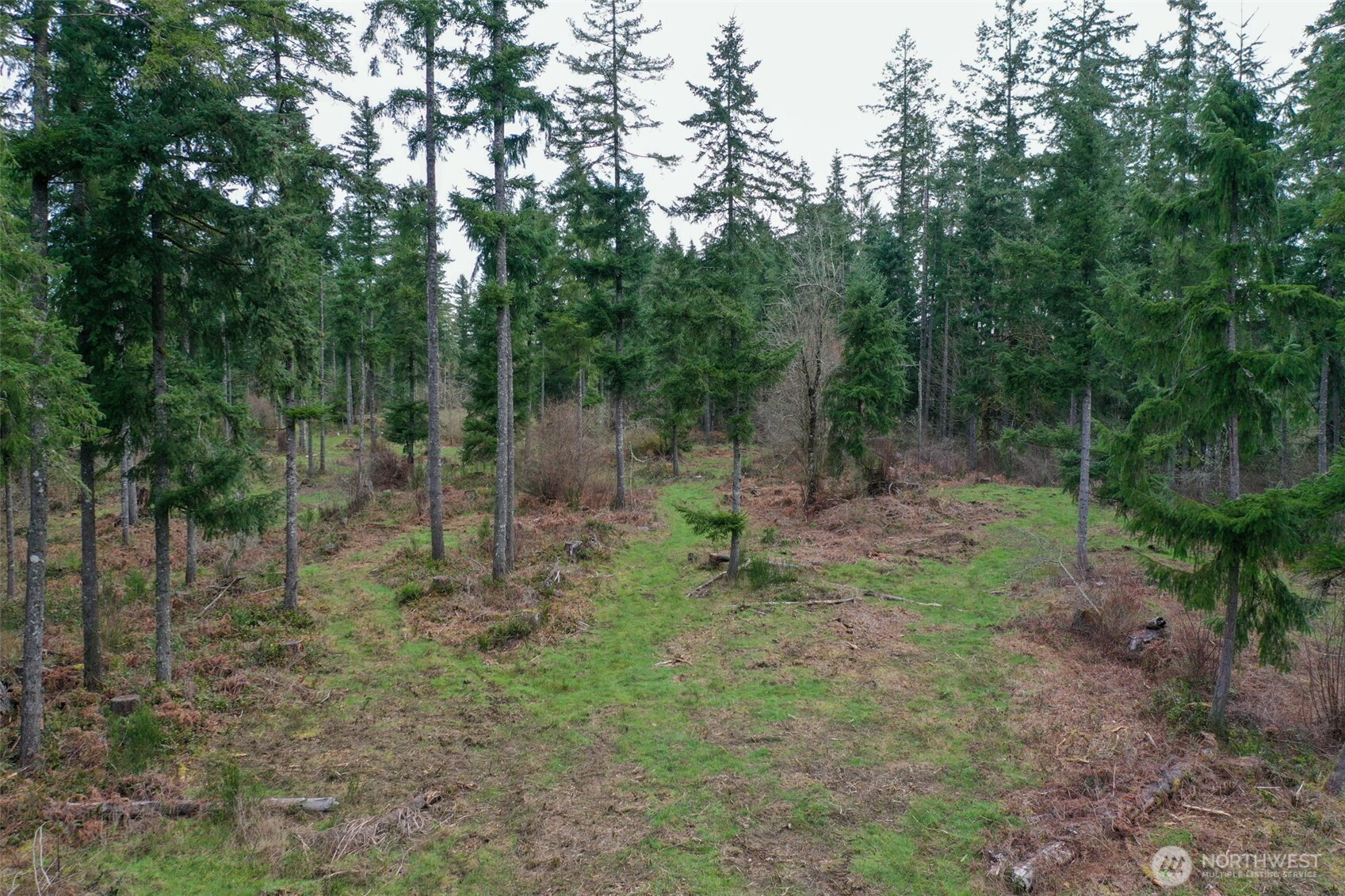 7128 115th Avenue SW, Olympia, WA 98512