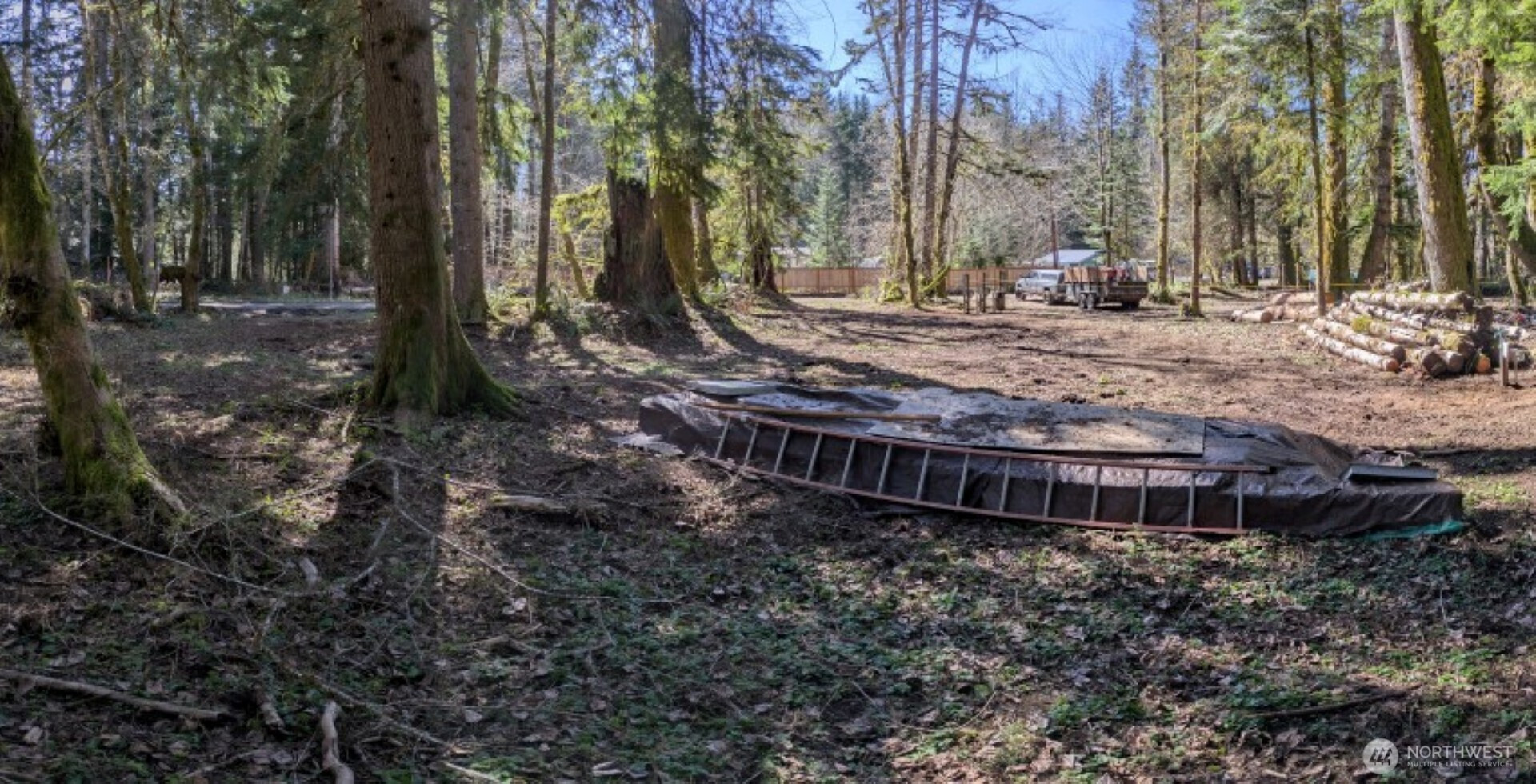 55912 317th Avenue E, Ashford, WA 98304