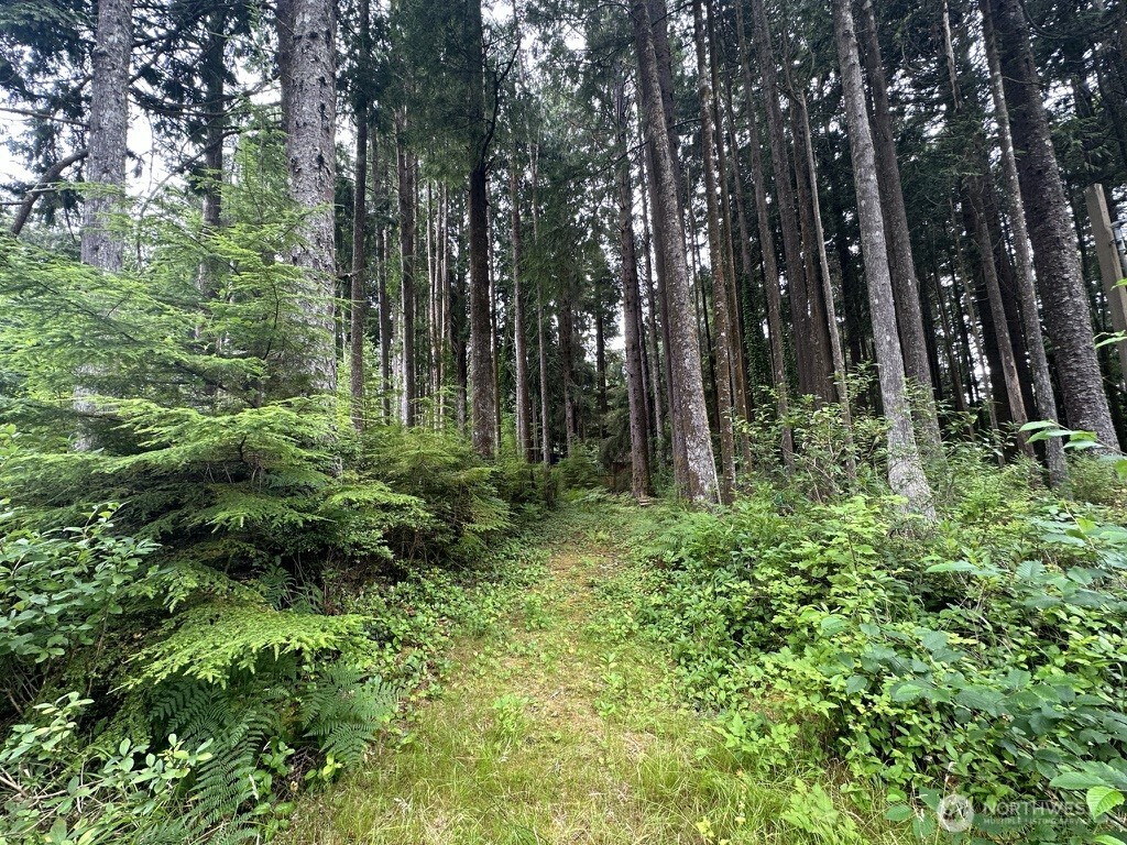 44 Robin Lane, Pacific Beach, WA 98571