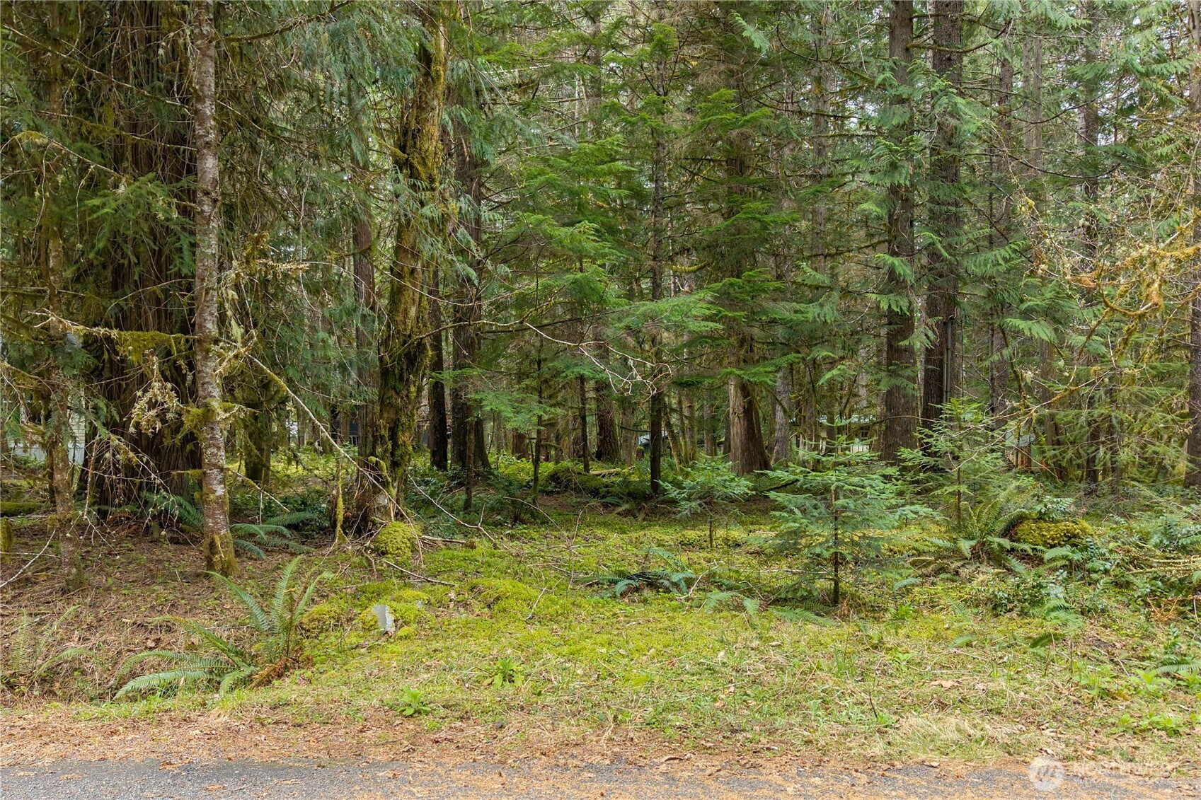 56510 383rd Avenue Ct E, Ashford, WA 98304