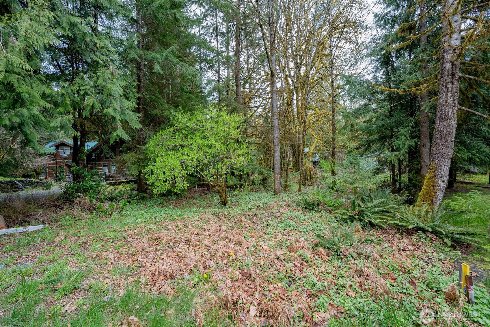 14039 Chimney Lane, Deming, WA 98244