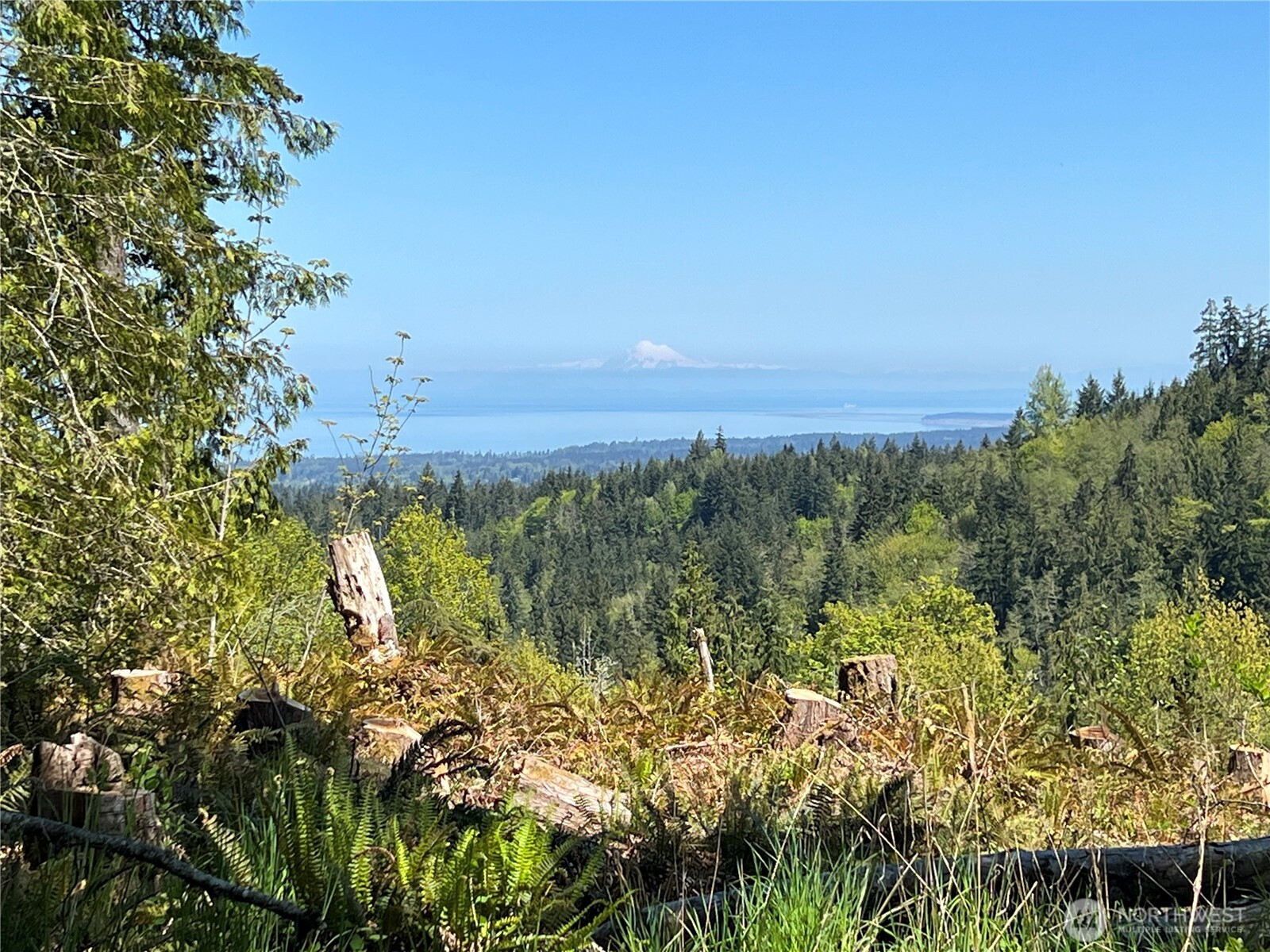 9999 E Half Mile Rd., Lot B, Port Angeles, WA 98362