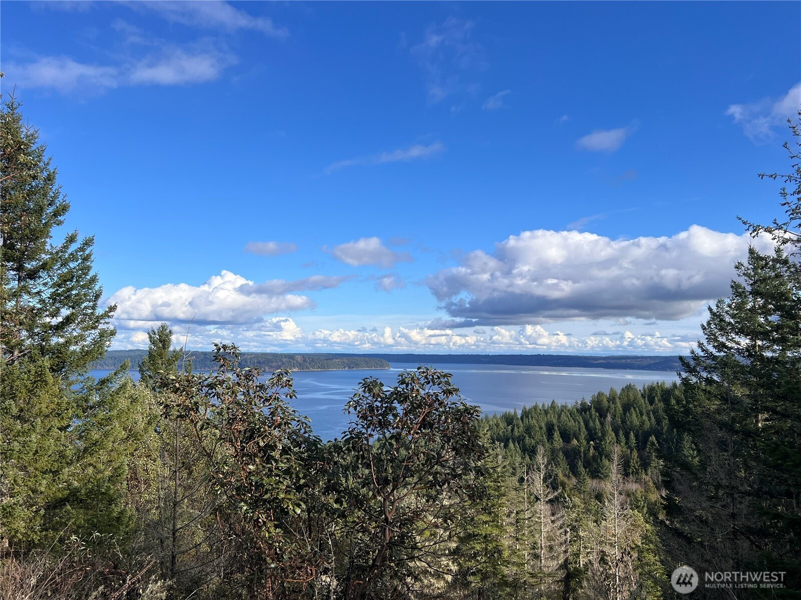 59 X Moose Mountain Road, Brinnon, WA 98320
