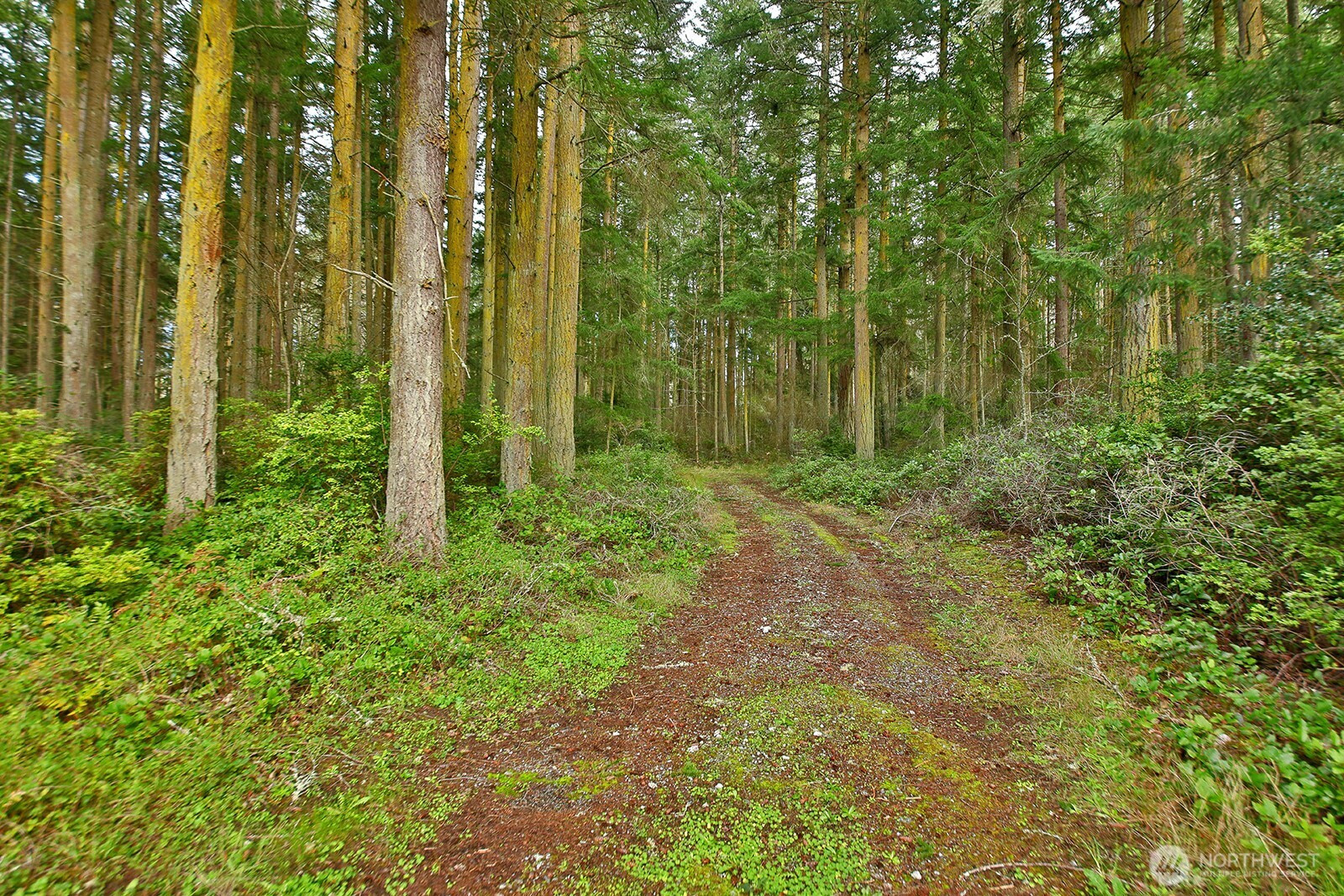 0 XXX Mutiny Bay Road, Freeland, WA 98249