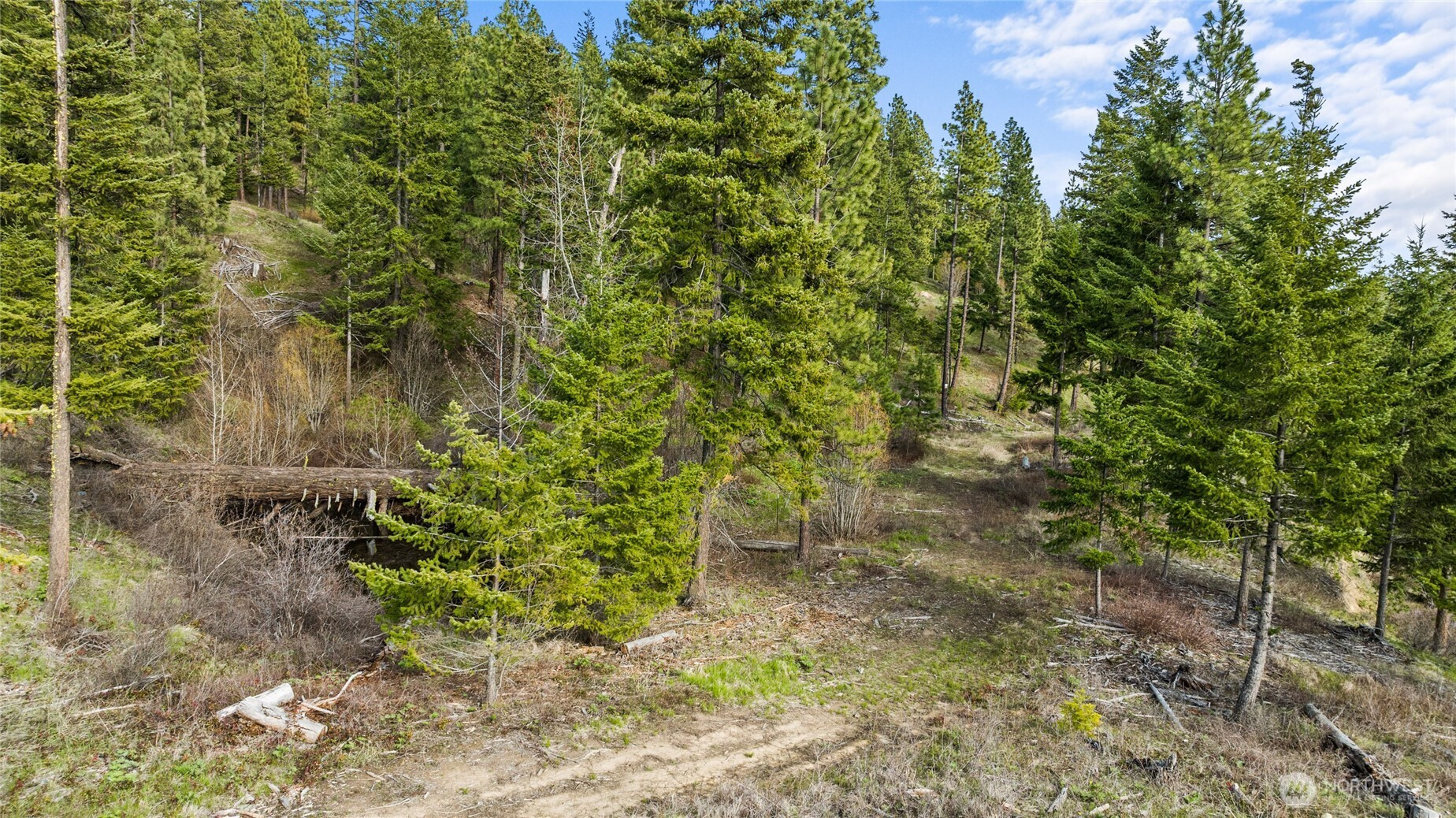 0 XXX Game Trail Road, Cle Elum, WA 98922