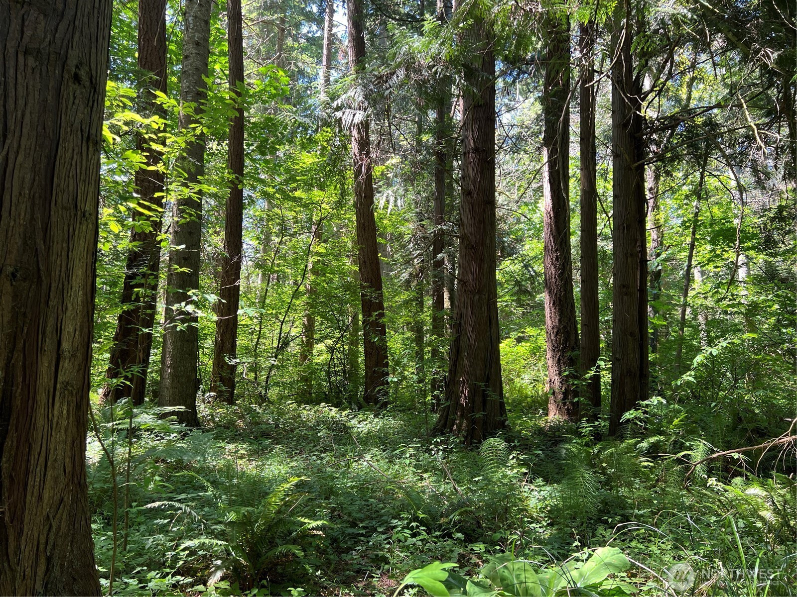 6 acres South Beach Road, Point Roberts, WA 98281