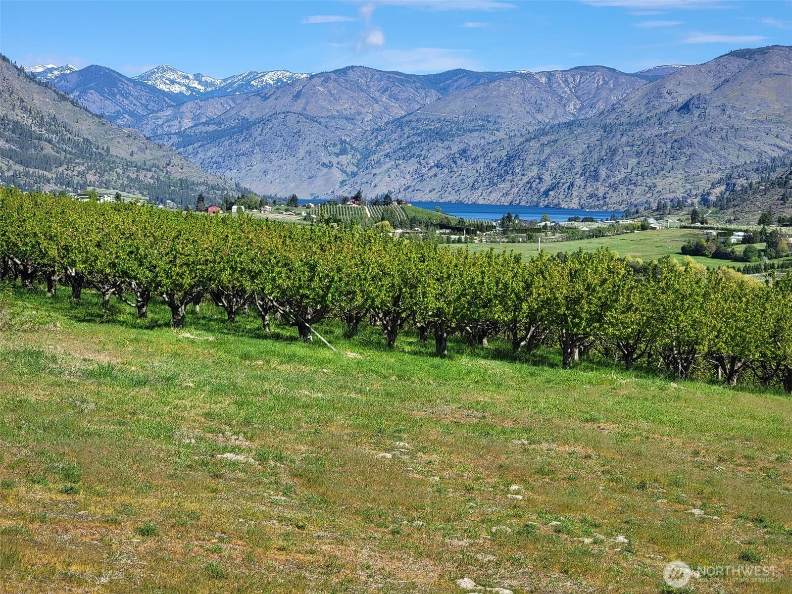 31 Milan Street, Manson, WA 98831