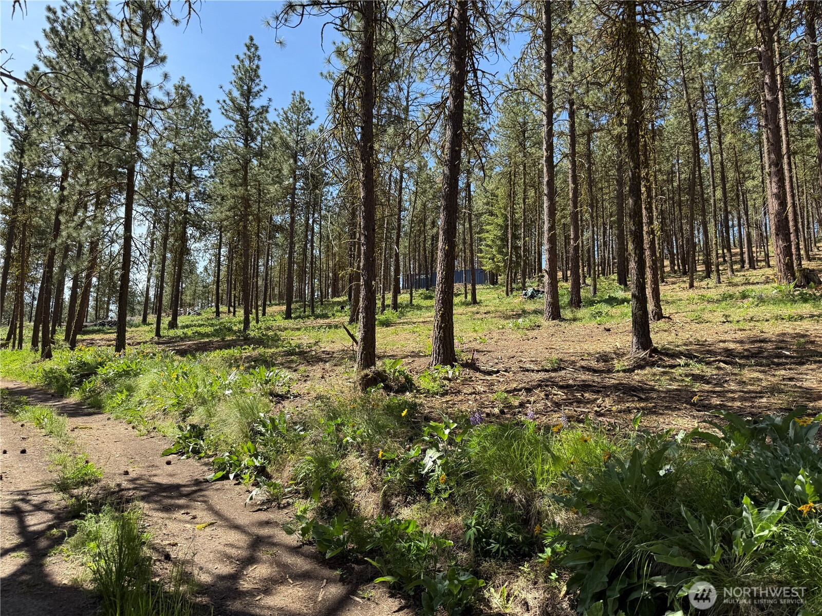 305 Sunrise Way, East Wenatchee, WA 98802