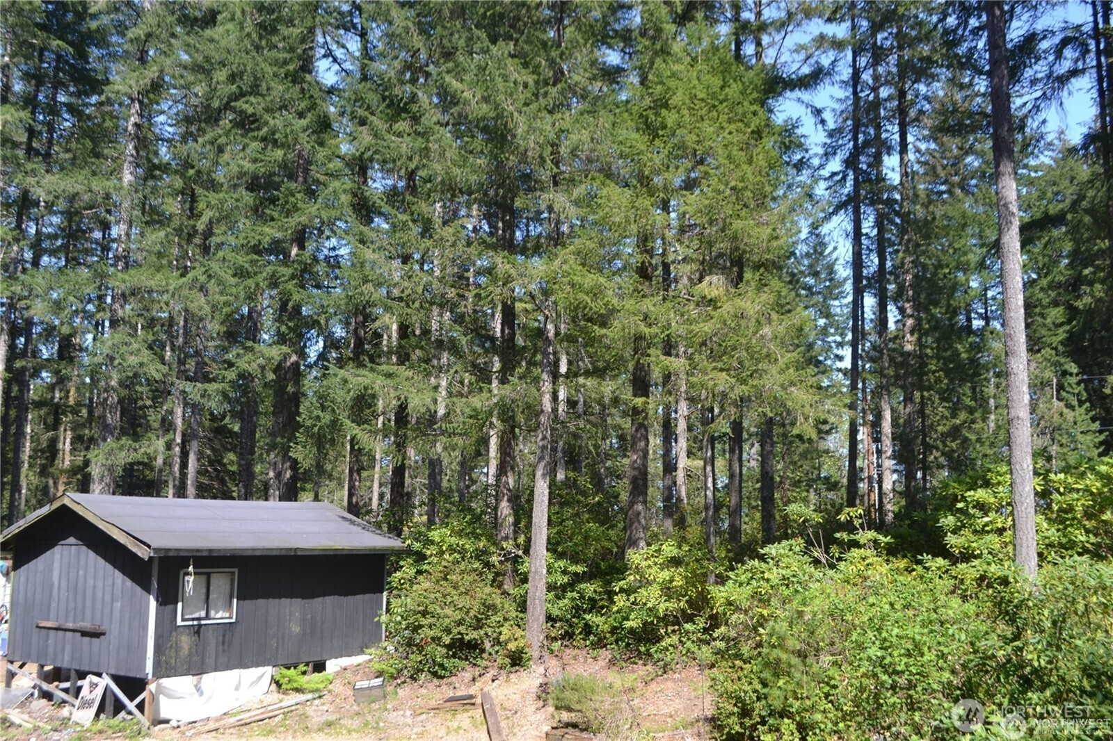 0 Lot #55 NE Collins (80 Collins Dr.) Drive, Tahuya, WA 98588