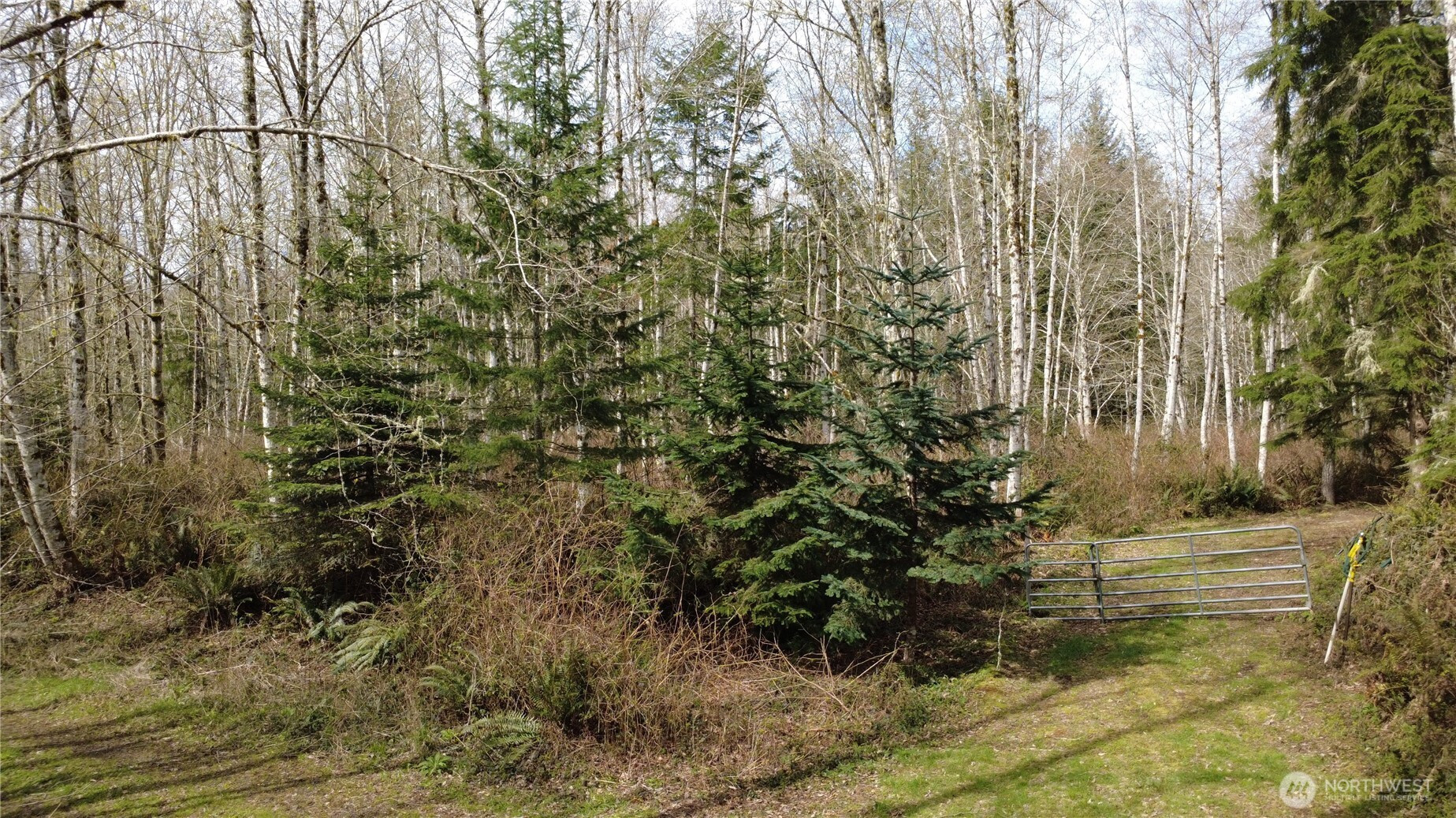 0 Blacktail Court, Quilcene, WA 98376