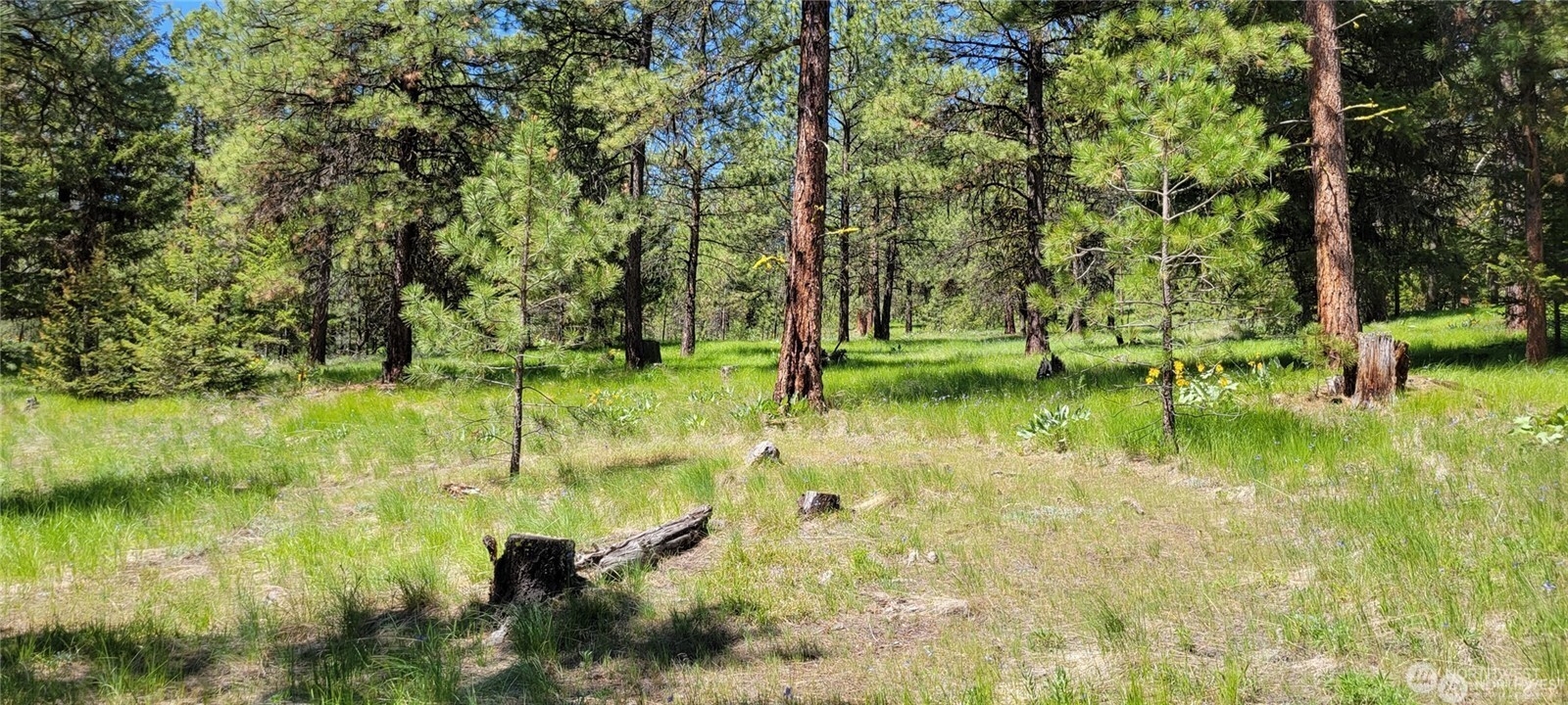 374 Bench Creek Road, Tonasket, WA 98855